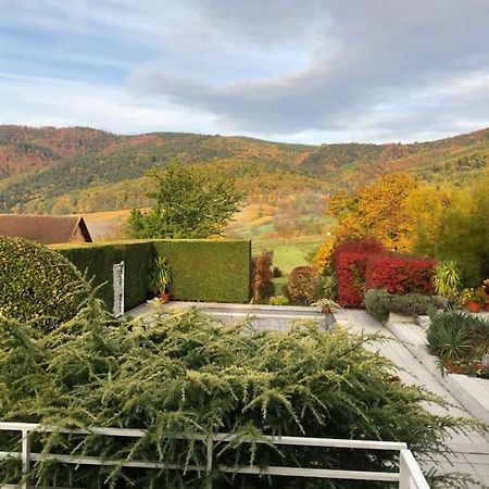Logement De Charme Au Coeur De La Nature Osenbach Экстерьер фото