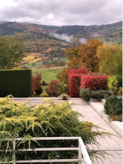 Logement De Charme Au Coeur De La Nature Osenbach Экстерьер фото