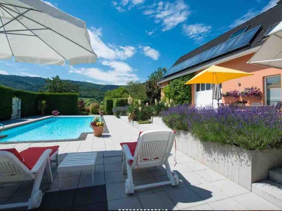 Logement De Charme Au Coeur De La Nature Osenbach Экстерьер фото